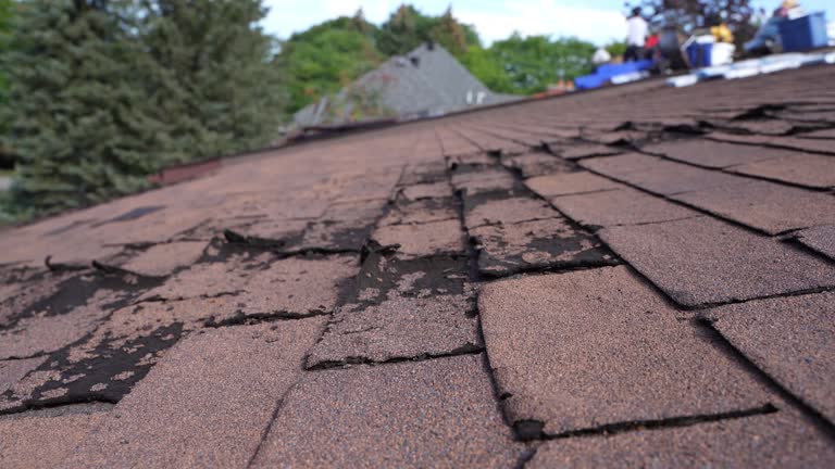 Best Asphalt Shingles Roofing  in Rlsbad, CA