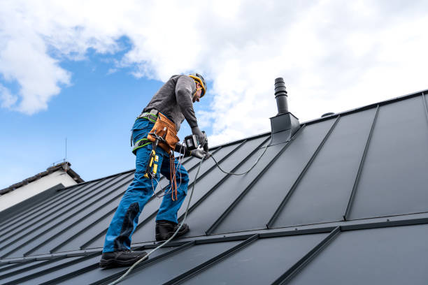 Best Skylight Installation and Repair  in Rlsbad, CA