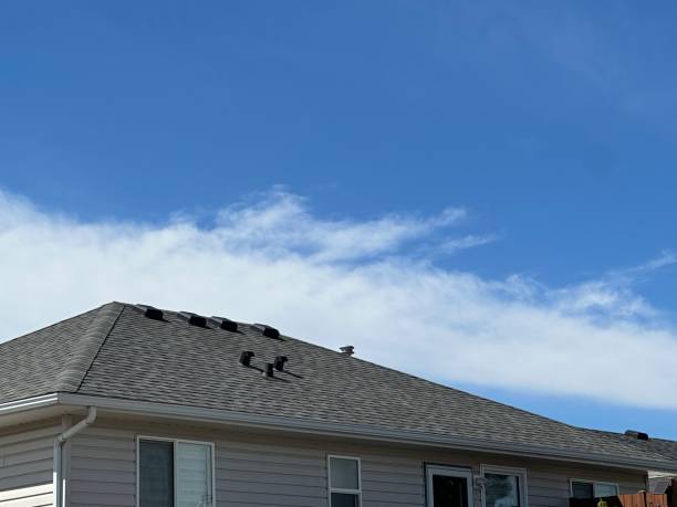 Best Roof Moss and Algae Removal  in Rlsbad, CA
